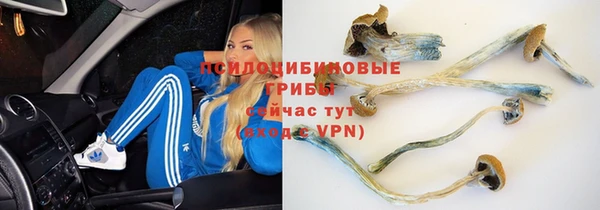 Альфа ПВП Пестово