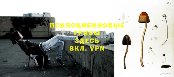 mix Алексин