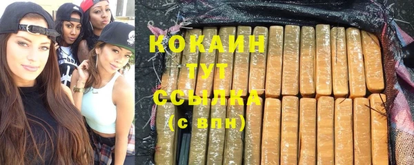 хмурый Алзамай
